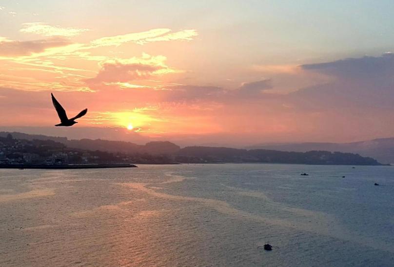 Appartamento Piso Vacaciones En El Mar Sanxenxo Esterno foto